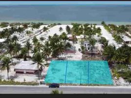  Grundstück zu verkaufen in Sinanche, Yucatan, Sinanche