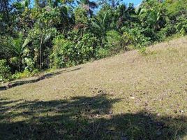  Land for sale in Loboc, Bohol, Loboc