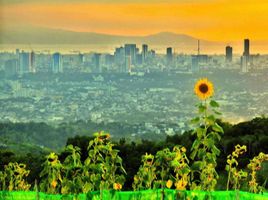  토지을(를) Antipolo City, 리잘에서 판매합니다., Antipolo City