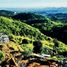  토지을(를) Antipolo City, 리잘에서 판매합니다., Antipolo City