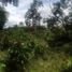  Land for sale in Simon Bolivar, Guayas, Simon Bolivar, Simon Bolivar