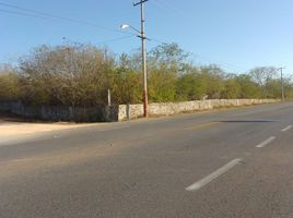  Terreno (Parcela) en alquiler en Conkal, Yucatán, Conkal, Yucatán