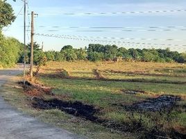  Land for sale in Alaminos City, Pangasinan, Alaminos City