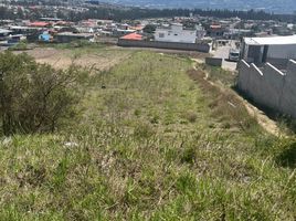  Terreno (Parcela) en venta en Bicentenario Park, Quito, Llano Chico, Quito