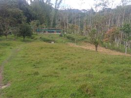  Villa en venta en San Miguel de los Bancos, Pichincha, San Miguel De Los Bancos, San Miguel de los Bancos