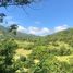  Land for sale in Carmen, Cebu, Carmen