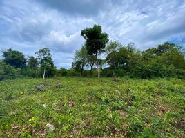  Land for sale in Hinagdanan Cave, Dauis, Dauis