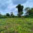  Terrain for sale in Hinagdanan Cave, Dauis, Dauis