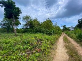  Terrain for sale in Hinagdanan Cave, Dauis, Dauis