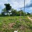  Land for sale in Dauis, Bohol, Dauis