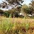  Terreno (Parcela) en venta en Cumbaya, Pichincha, Cumbaya