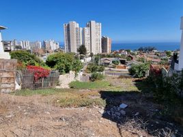  Land for sale in Chile, Vina Del Mar, Valparaiso, Valparaiso, Chile