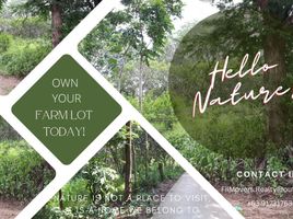  Terrain for sale in Rosario, Batangas, Rosario