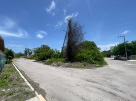  Grundstück zu verkaufen in Othon P Blanco, Quintana Roo, Othon P Blanco