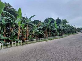  Land for sale in Pampanga, Central Luzon, Porac, Pampanga