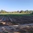  Land for sale in Chile, Colina, Chacabuco, Santiago, Chile