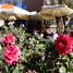 12 Bedroom House for sale in Arequipa, Arequipa, Arequipa, Arequipa, Arequipa