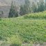  Terrain for sale in Ollantaytambo, Urubamba, Ollantaytambo