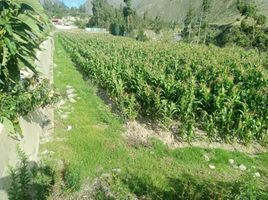  Terrain for sale in Urubamba, Cusco, Ollantaytambo, Urubamba