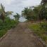  Grundstück zu verkaufen in Tabogon, Central Visayas, Tabogon
