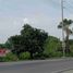  Land for sale in Malasiqui, Ilocos, Malasiqui