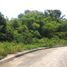  Terreno (Parcela) en venta en Cebu City, Central Visayas, Cebu City, Cebu, Central Visayas, Filipinas