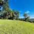  Terreno (Parcela) en venta en Chile, Villarrica, Cautín, Araucanía, Chile