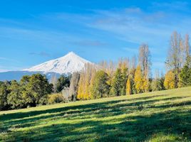  Terreno (Parcela) en venta en Chile, Villarrica, Cautín, Araucanía, Chile