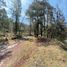  Land for sale in Mineral Del Chico, Hidalgo, Mineral Del Chico