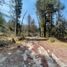  Land for sale in Mineral Del Chico, Hidalgo, Mineral Del Chico
