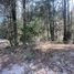  Land for sale in Mineral Del Chico, Hidalgo, Mineral Del Chico