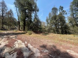  Land for sale in Mineral Del Chico, Hidalgo, Mineral Del Chico