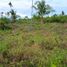 Land for sale in Moalboal, Central Visayas, Moalboal