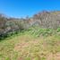  Terreno (Parcela) en venta en Melipilla, Santiago, Curacavi, Melipilla