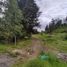  Land for sale in Pichincha, Alangasi, Quito, Pichincha