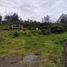  Land for sale in Alangasi, Quito, Alangasi