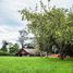  Terreno (Parcela) en venta en Los Lagos, Puerto Varas, Llanquihue, Los Lagos