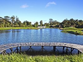  Terreno (Parcela) en venta en Los Lagos, Puerto Varas, Llanquihue, Los Lagos