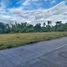  Grundstück zu verkaufen in Dauis, Central Visayas, Dauis