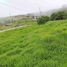  Land for sale in Nono, Quito, Nono