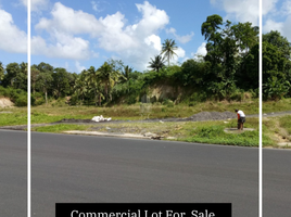  Land for sale in Sorsogon, Bicol, Sorsogon City, Sorsogon