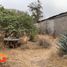  Land for sale in Chile, Pirque, Cordillera, Santiago, Chile