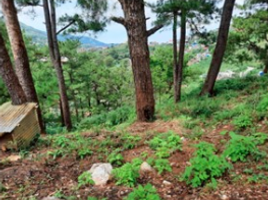  Land for sale in Baguio City, Cordillera, Baguio City, Benguet