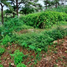  Land for sale in Baguio City, Cordillera, Baguio City, Benguet