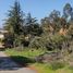  Terreno (Parcela) en venta en Valparaíso, Casa Blanca, Valparaíso, Valparaíso