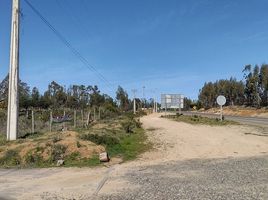  Terreno (Parcela) en venta en Valparaíso, Casa Blanca, Valparaíso, Valparaíso