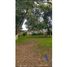  Land for rent in Chignautla, Puebla, Chignautla