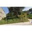  Land for rent in Chignautla, Puebla, Chignautla