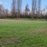  Land for sale in Chile, Codegua, Cachapoal, Libertador General Bernardo Ohiggins, Chile