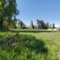  Land for sale in Chile, Codegua, Cachapoal, Libertador General Bernardo Ohiggins, Chile